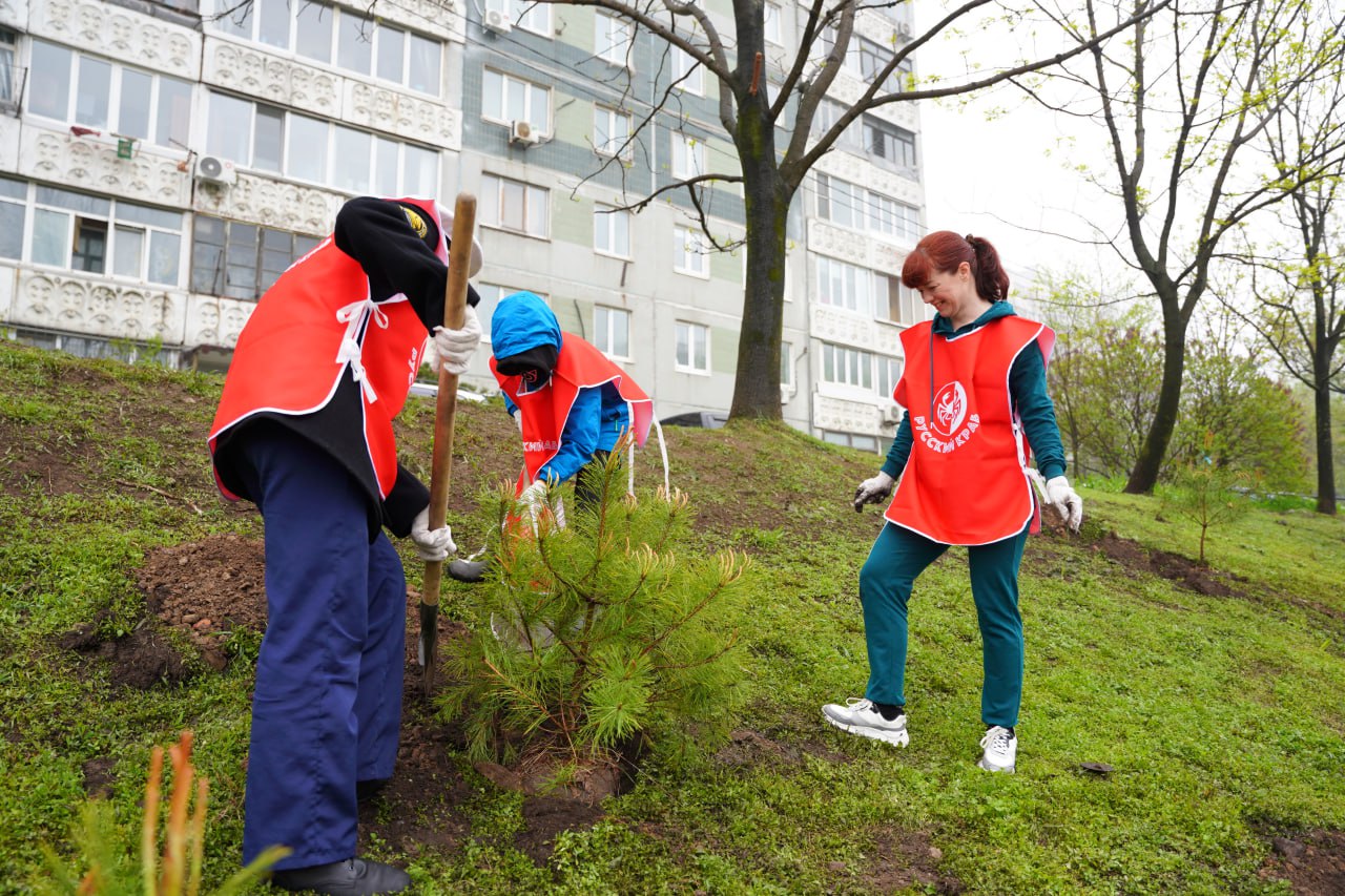 субботник 6